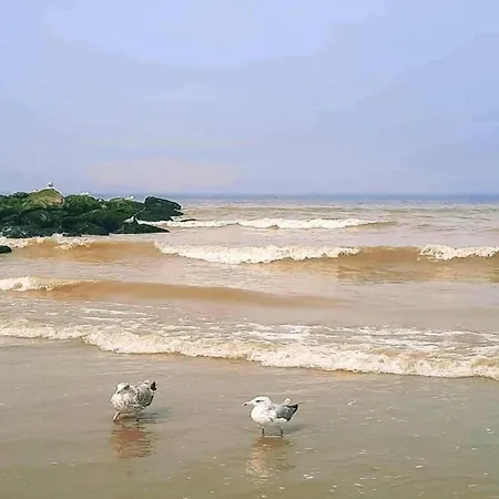 아파트 Ocean View Coastal Escape, Cleaning Included